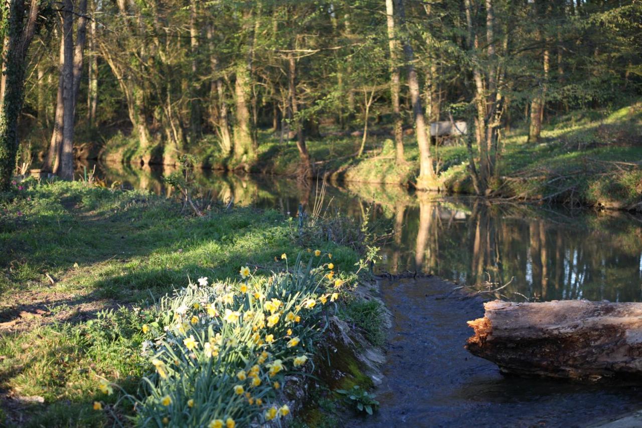 Fleurs De Brenne Gite Neuillé-le-Lierre Eksteriør bilde