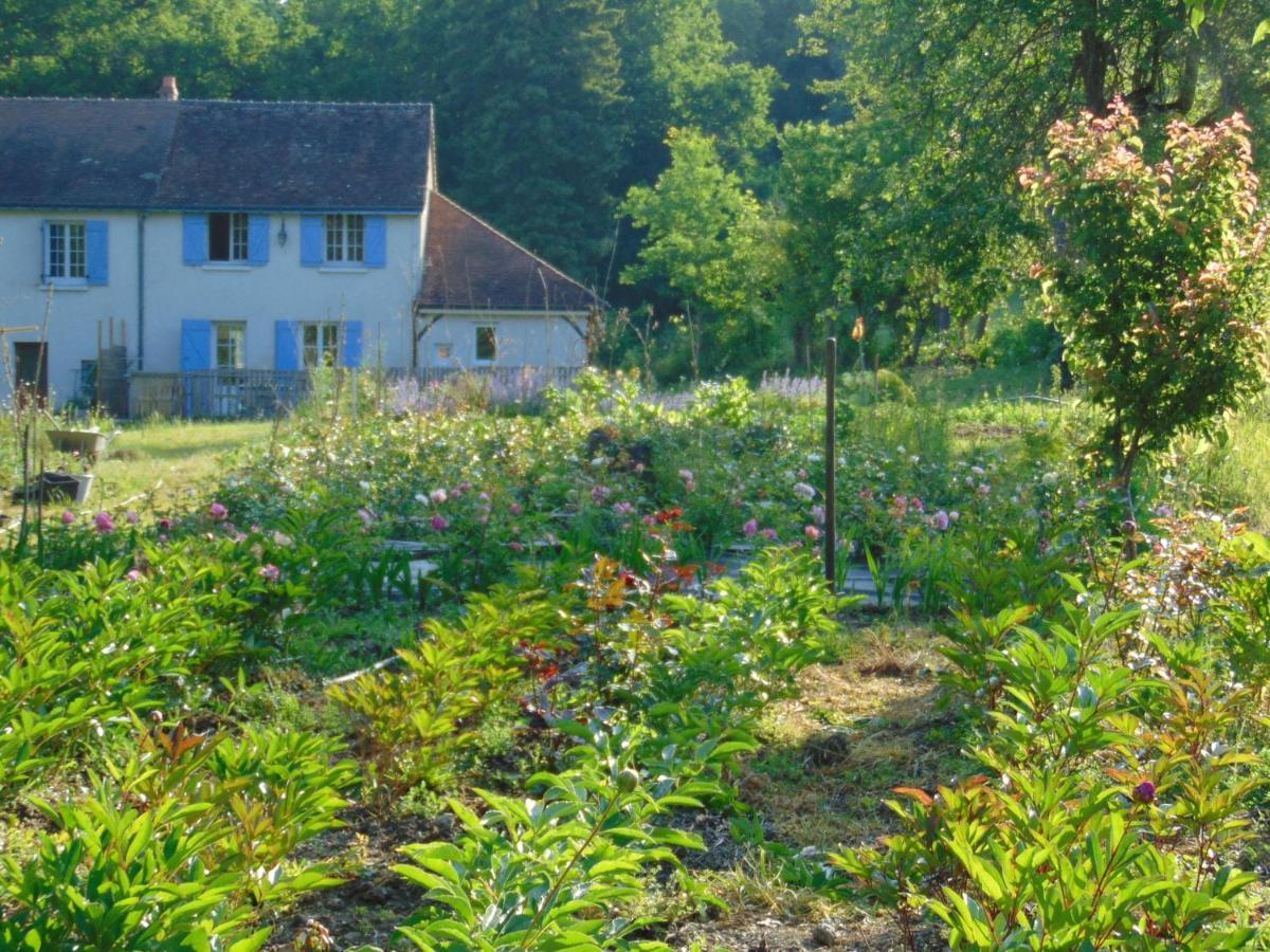 Fleurs De Brenne Gite Neuillé-le-Lierre Eksteriør bilde